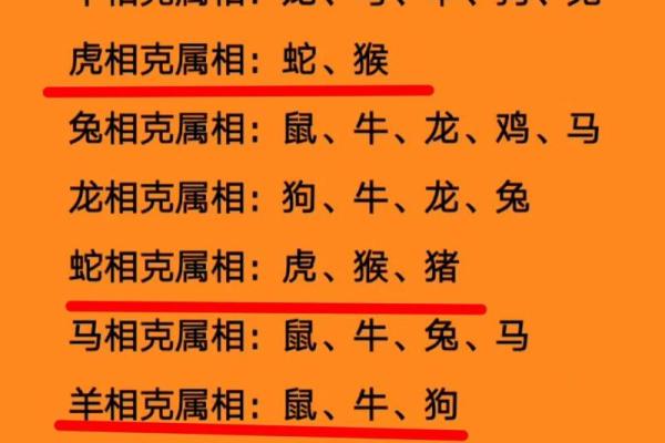 本命年属兔人如何面对突如其来的变化 本命年属兔人如何面对突如其来的变化