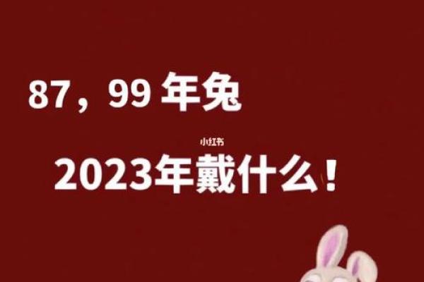 本命年属兔人如何面对突如其来的变化 本命年属兔人如何面对突如其来的变化