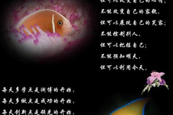 从昕字看人生的光辉与未来的方向