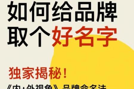为咨询公司命名：成功品牌背后的命名策略