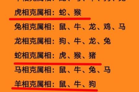 本命年属兔人如何面对突如其来的变化