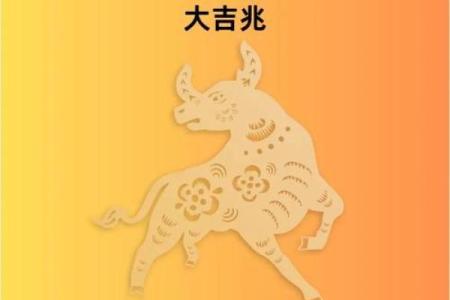 本命年牛男如何增进家庭和谐