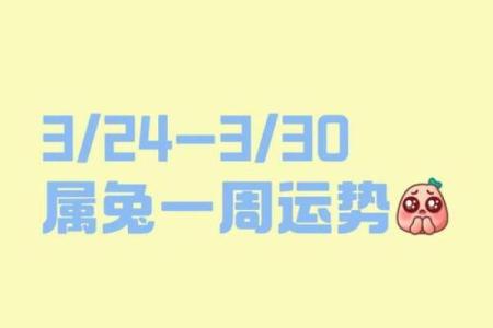 兔年运势大揭秘：健康、事业、财运全面预测