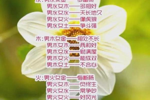 五行婚姻配对表解析:如何根据五行选择合适的伴侣 五行婚姻配对表解析:如何根据五行选择合适的伴侣