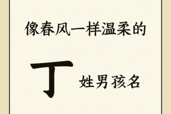 丁女孩名字的独特寓意与选择技巧