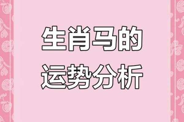 属相运势大揭秘，如何应对的挑战与机遇