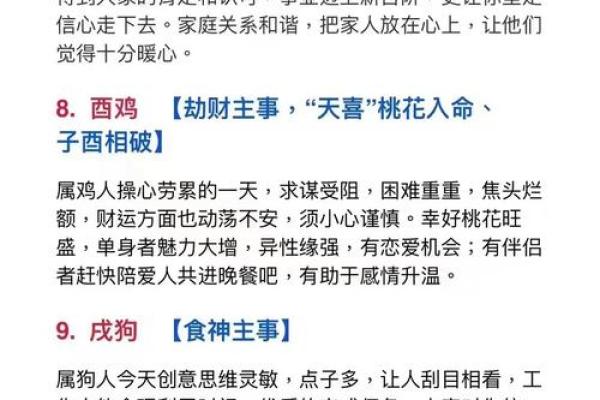 属相运势大揭秘，如何应对的挑战与机遇