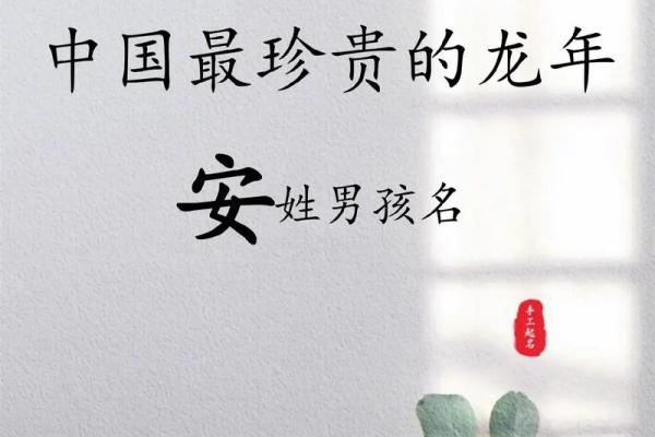如何根据安姓宝宝的出生日期选一个合适的名字 如何根据安姓宝宝的出生日期选一个合适的名字