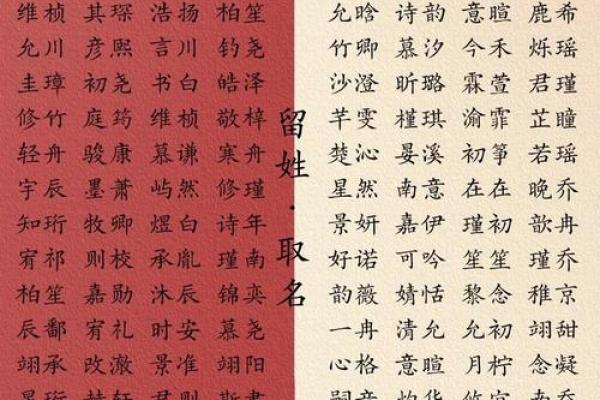 出生宝宝的名字选择指南 出生宝宝的名字选择指南