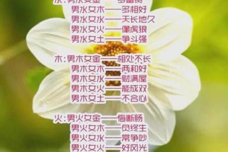 五行婚姻配对表解析：如何根据五行选择合适的伴侣