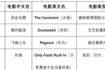 电影英文名字与观众情感的微妙联系