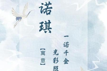 丁女孩名字的独特寓意与选择技巧