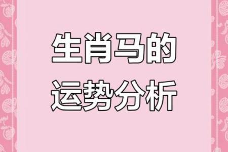 属相运势大揭秘，如何应对的挑战与机遇