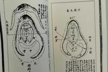 深入了解广西来宾风水宝穴图的历史与风水价值