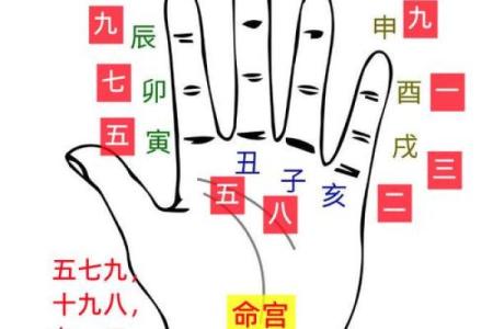 生辰八字测命解析：如何通过八字了解你的命运走向