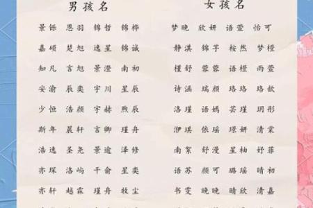 出生宝宝的名字选择指南