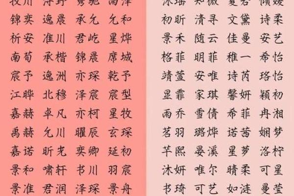 男宝宝名字免费推荐:寓意深远的经典选项 男宝宝名字免费推荐:寓意深远的经典选项