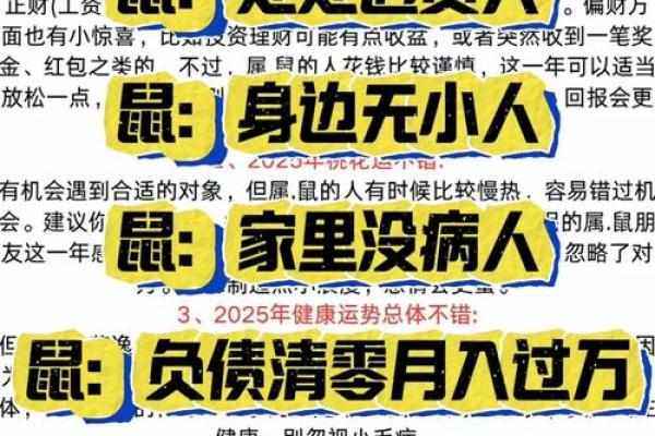 本命年鼠女的财富积累策略