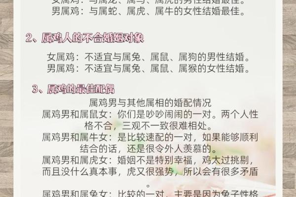 属龙女与虎男的缘分是否注定 适合成为情侣吗