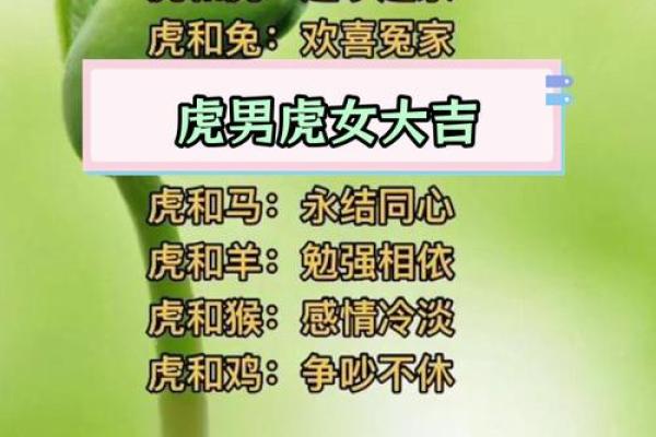 属龙女与虎男的缘分是否注定 适合成为情侣吗