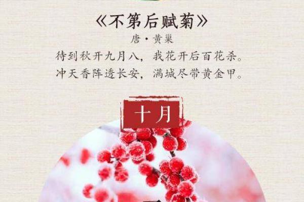 解锁农历月的神秘别称,哪个最让你惊艳? 解锁农历月的神秘别称,哪个最让你惊艳?