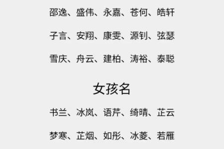 男宝宝名字免费推荐：寓意深远的经典选项