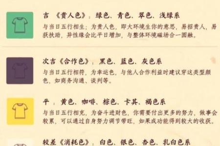 生肖运势全面解析，如何迎接好运