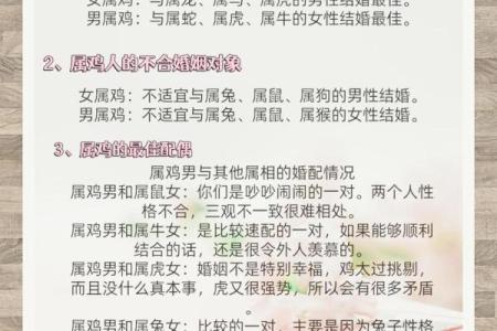 属龙女与虎男的缘分是否注定 适合成为情侣吗