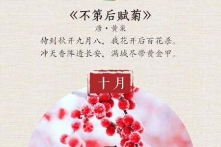 解锁农历月的神秘别称，哪个最让你惊艳？