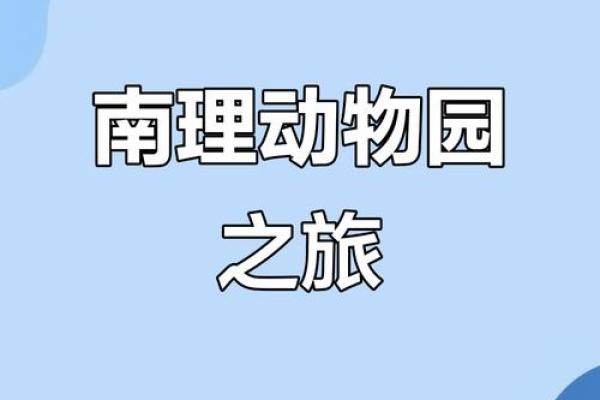 打造独特动物园名字，吸引游客的秘密武器