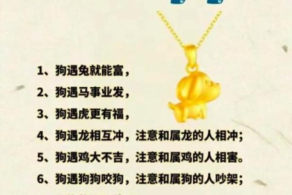 属牛与属狗的生肖配对解析