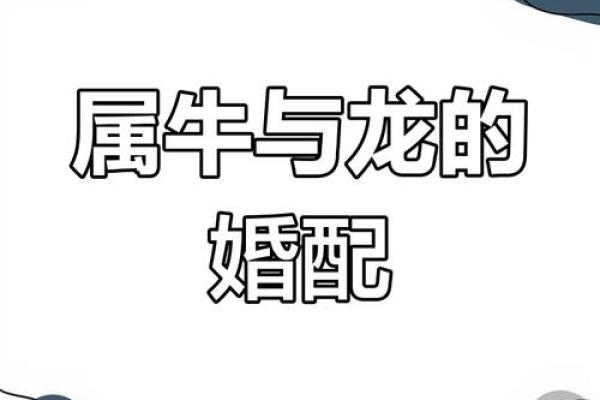 属龙男与属兔女的爱情能走多远