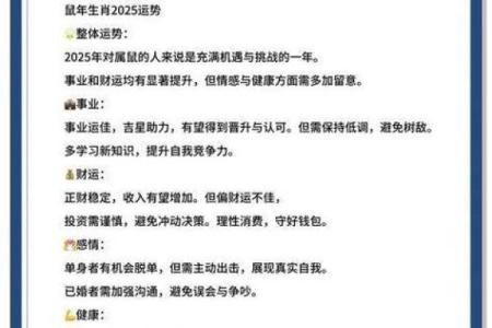 鼠人每月运势全解析：全年运程详解与注意事项