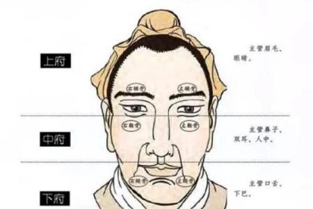 招财风水最佳眉型解析，助你财运亨通