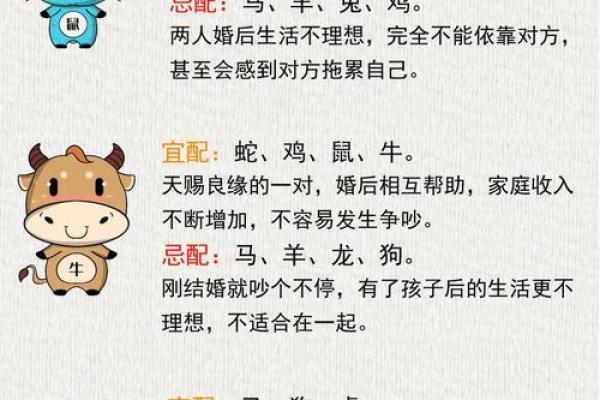 男虎女龙的配对是否和谐分析