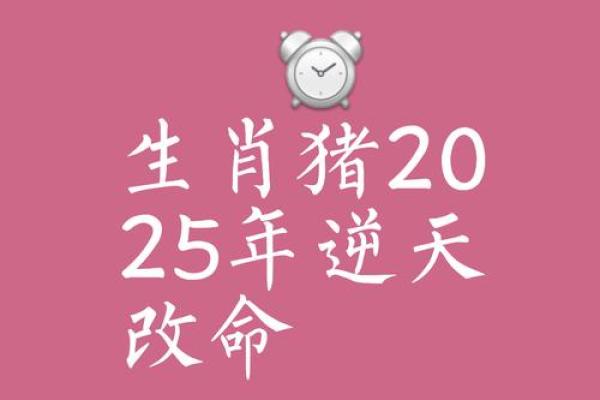 属猪的幸运与不利：运势全面预测