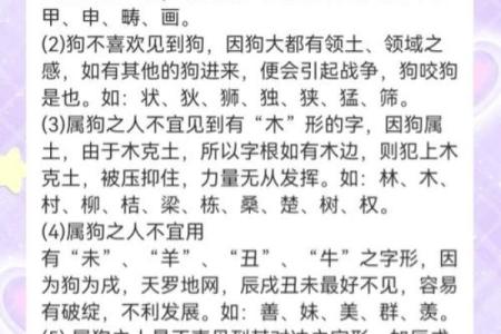 狗年男宝宝起名指南：独特又有意义的名字推荐