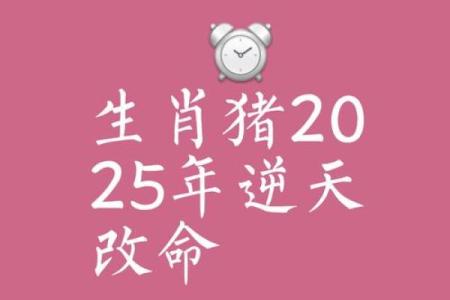 属猪的幸运与不利：运势全面预测