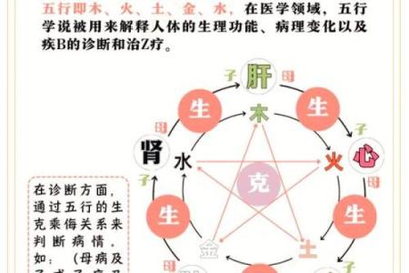 五行学说与身体部位的奇妙联系，揭开健康密码