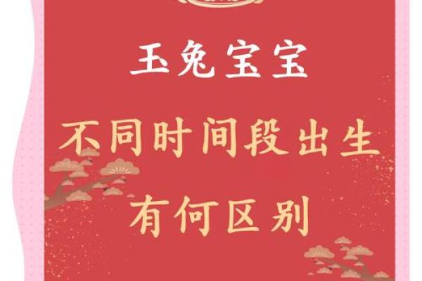 兔宝宝起名服务 免费提供创意灵感