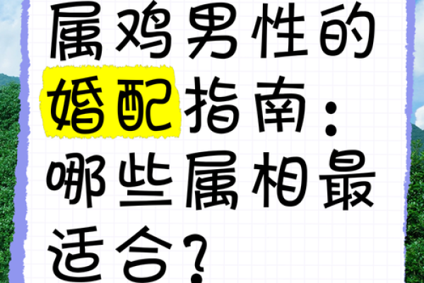 属虎男与属鸡女的相处之道与和谐秘诀 属虎男与属鸡女的相处之道与和谐秘诀