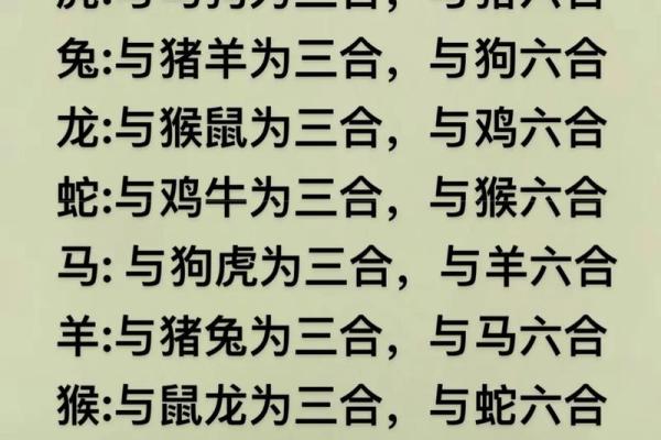 蛇与猪相配?揭示生肖配对的深层含义 蛇与猪相配?揭示生肖配对的深层含义