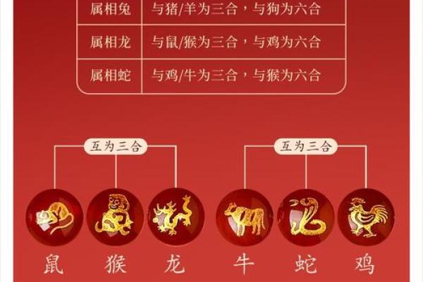 蛇与猪相配?揭示生肖配对的深层含义 蛇与猪相配?揭示生肖配对的深层含义