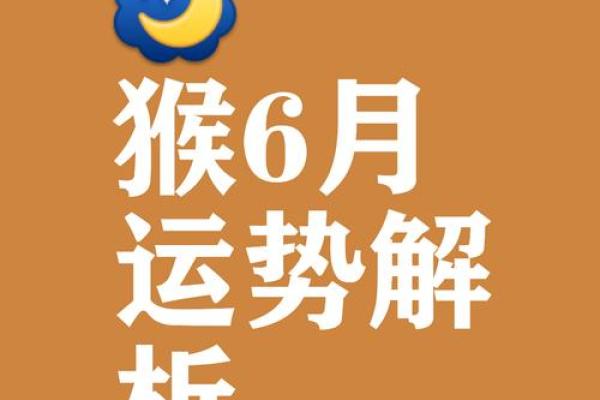 属猴人的运程预测:事业发展与感情机遇 属猴人的运程预测:事业发展与感情机遇