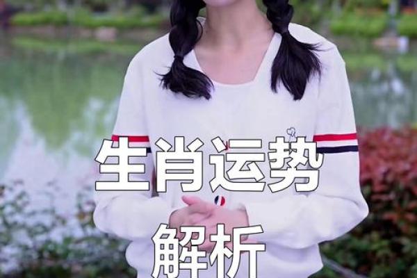 本命年鼠女如何做出智慧决策 本命年鼠女如何做出智慧决策