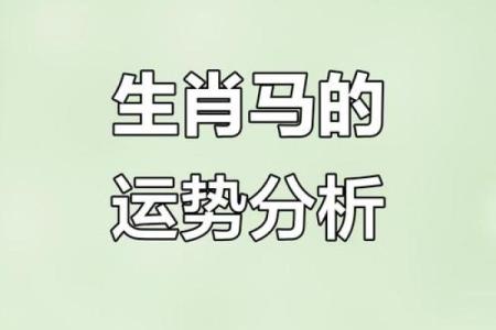 运程解析：不同生肖的命运走向