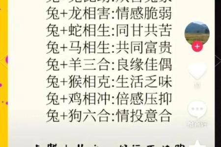 属兔男和属猪女婚姻匹配度解析