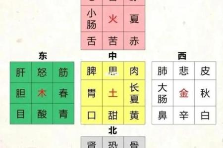 未五行属土的深层解析与应用