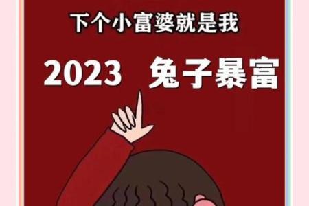 属兔人本命年如何面对人生的转折点