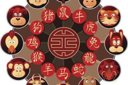 本命年属马如何让财运转旺